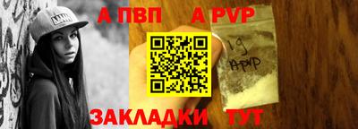 бошки Кингисепп