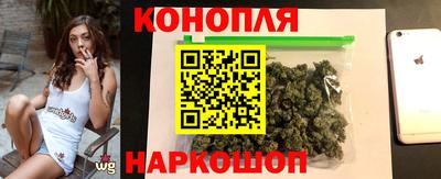 бошки Кингисепп