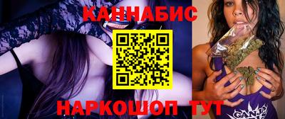 бошки Кингисепп