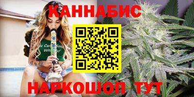 бошки Кингисепп