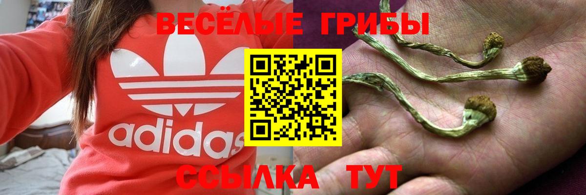 цены наркотик  Галлюциногенные грибы Magic Shrooms  Вход с VPN  Южноуральск 